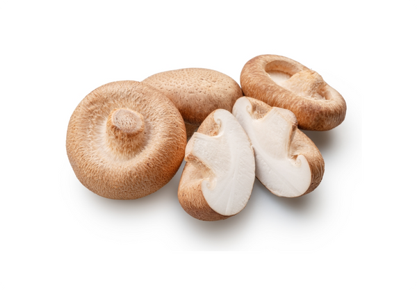 Shiitake